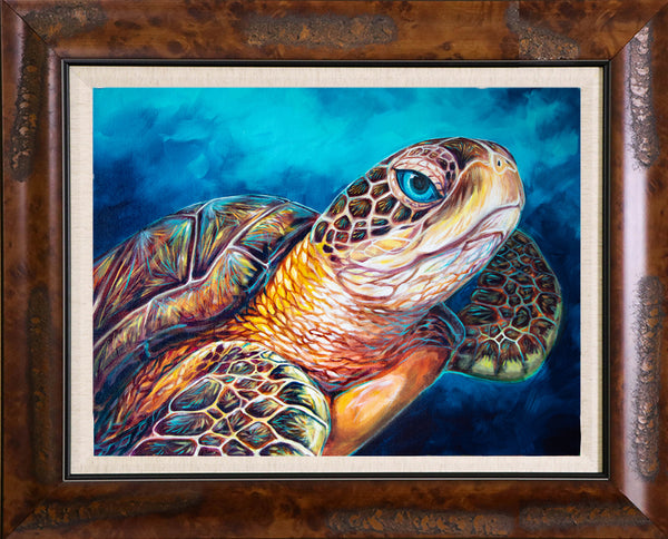 Florida Sea Turtle Artwork – Kelly of the Wild