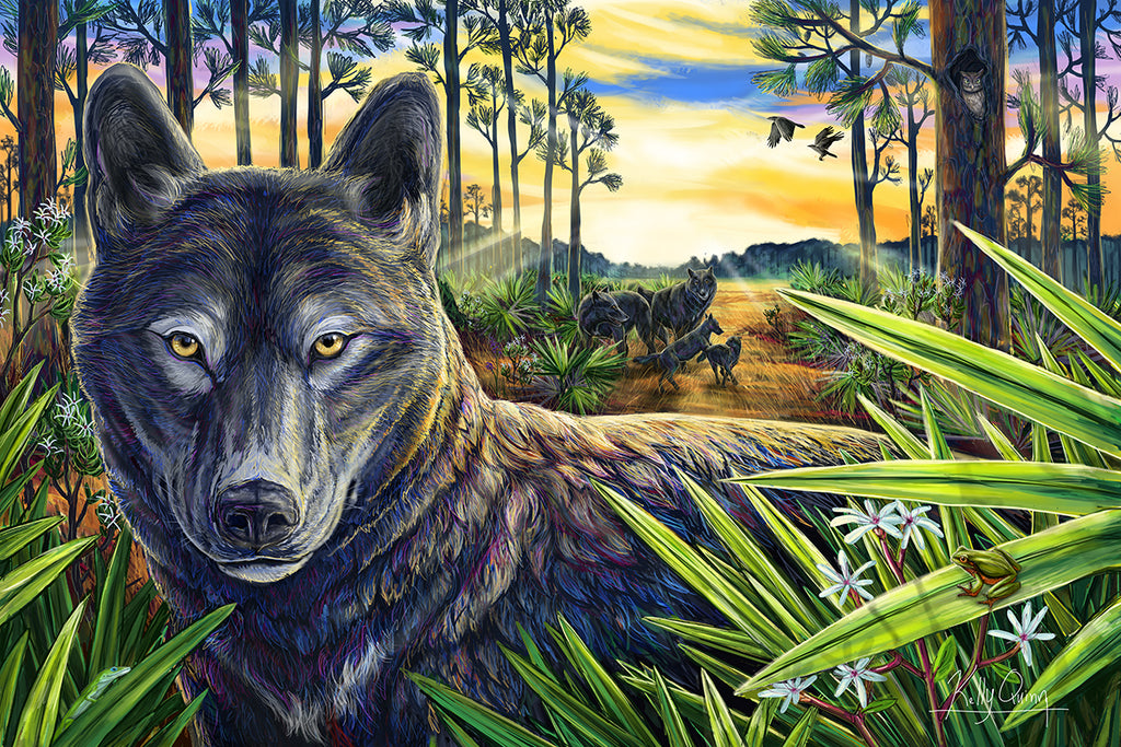 Florida Black Wolf: Extinct or Alive?