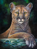 Florida Panther