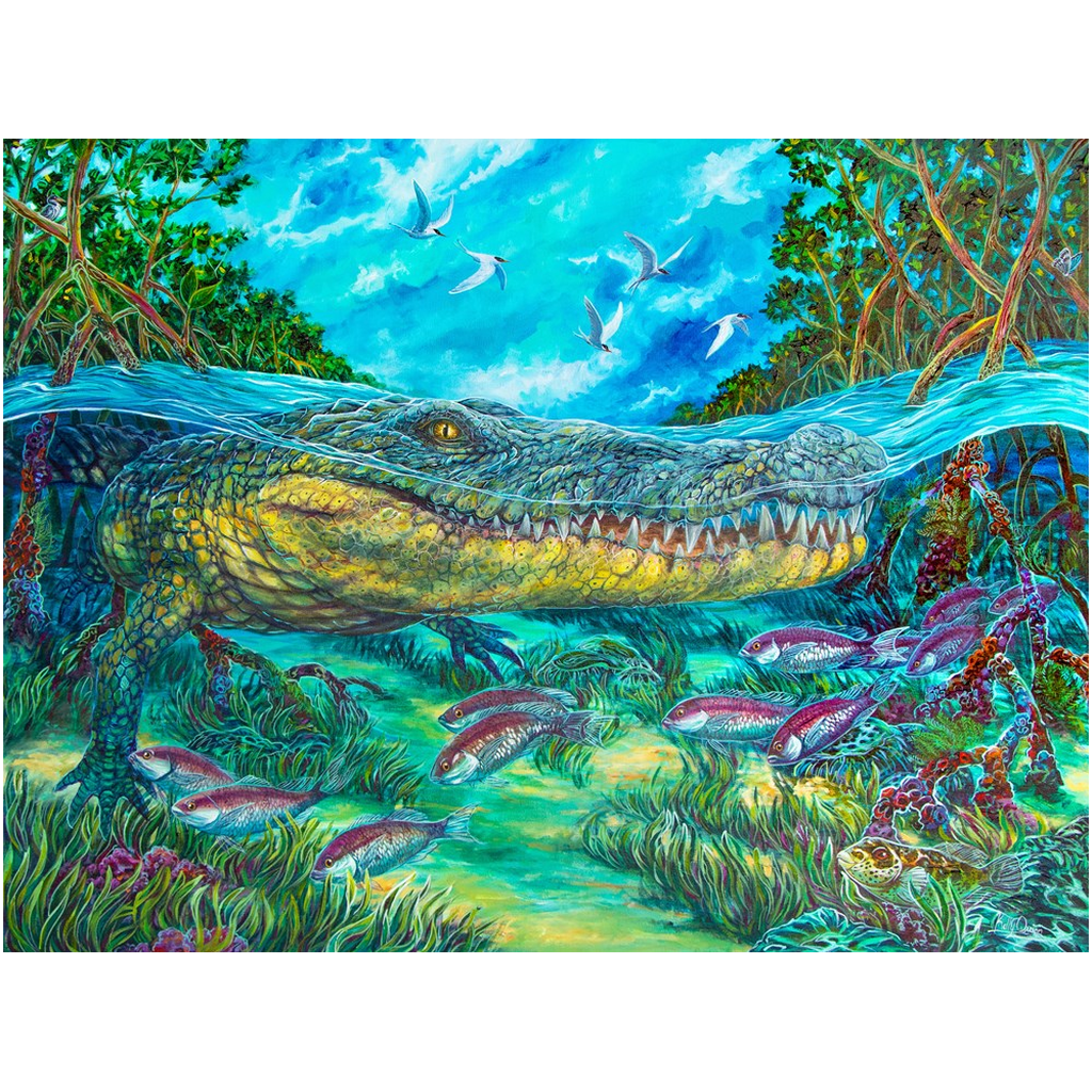 American crocodile art perfect for any South Florida home. Florida wildlife art and painting by artist Kelly Quinn - Kelly of the Wild