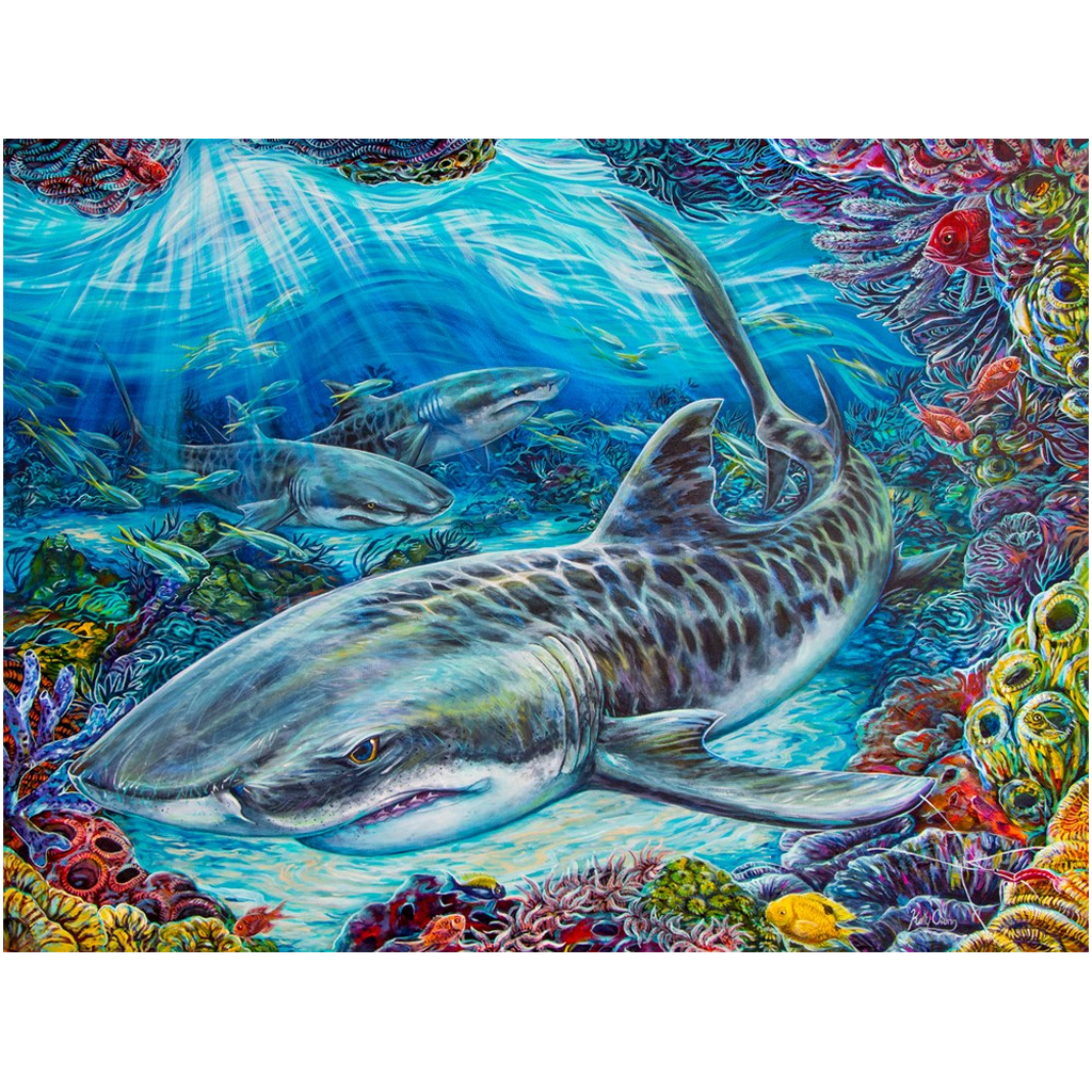 Colorful tiger shark painting inspired by marine science and scuba diving. Perfect for anyone who loves sharks! Original painting and print by artist Kelly Quinn - Kelly of the Wild