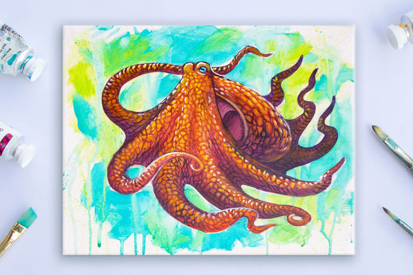 Curious Octopus