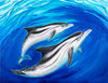 Striped Dolphin Family