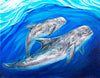 Risso's Dolphin Family