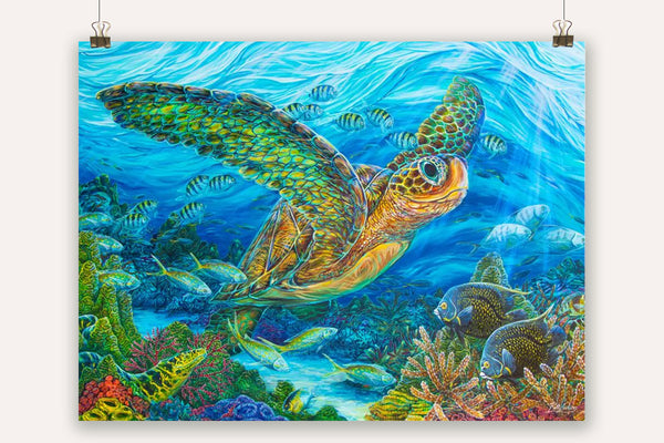 Colorful sea turtle canvas poster art inspiring coastal vibes in any home. Featuring a vibrant coral reef filled with reef fish and other Caribbean ocean animals. Inspired by scuba diving Florida.