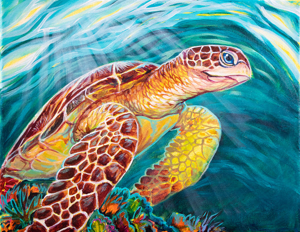 Sea Turtle Surfacing – Kelly of the Wild